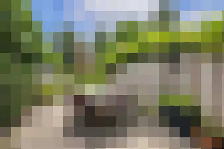 Bisschopsweg 63 Amersfoort thumbnail 34