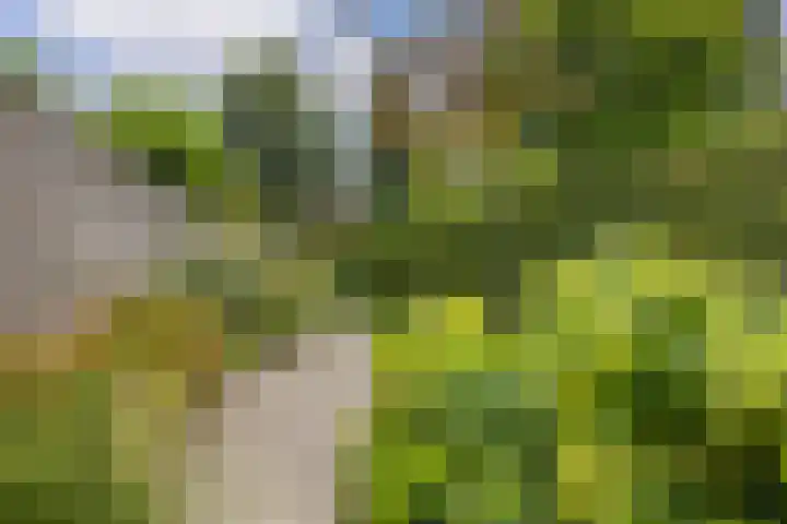 Bisschopsweg 63 Amersfoort thumbnail 35