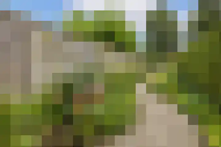 Bisschopsweg 63 Amersfoort thumbnail 36