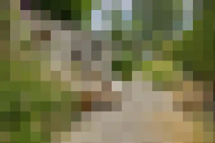 Bisschopsweg 63 Amersfoort thumbnail 37