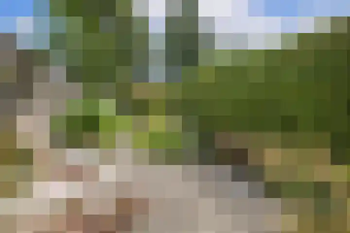 Bisschopsweg 63 Amersfoort thumbnail 38
