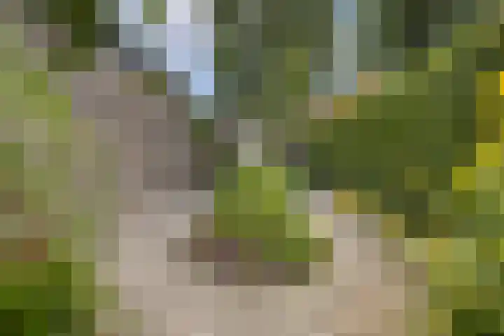 Bisschopsweg 63 Amersfoort thumbnail 39