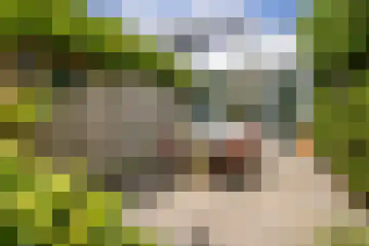Bisschopsweg 63 Amersfoort thumbnail 4