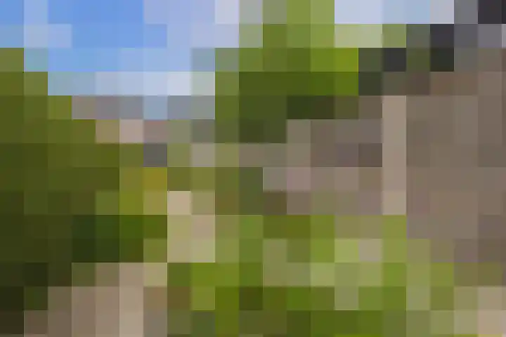 Bisschopsweg 63 Amersfoort thumbnail 43