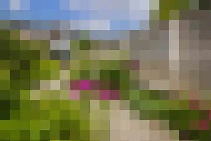 Bisschopsweg 63 Amersfoort thumbnail 44