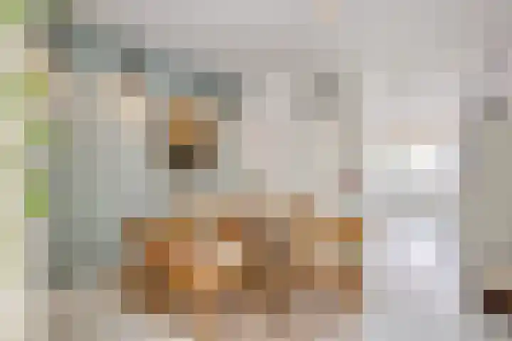 Bisschopsweg 63 Amersfoort thumbnail 6