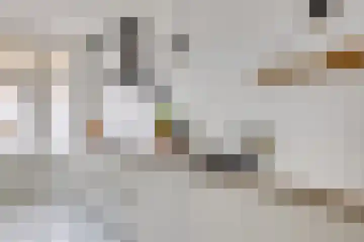 Bisschopsweg 63 Amersfoort thumbnail 8