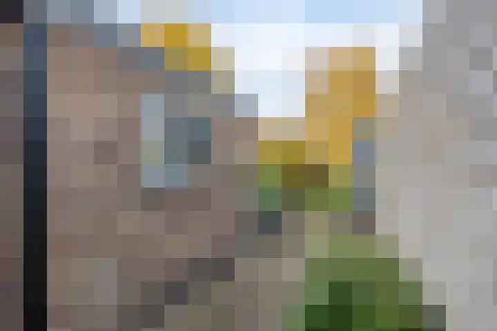 Bisschopsweg 64 Amersfoort thumbnail 37