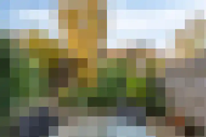 Bisschopsweg 64 Amersfoort thumbnail 39