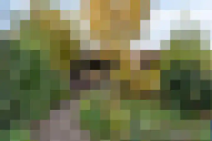 Bisschopsweg 64 Amersfoort thumbnail 40