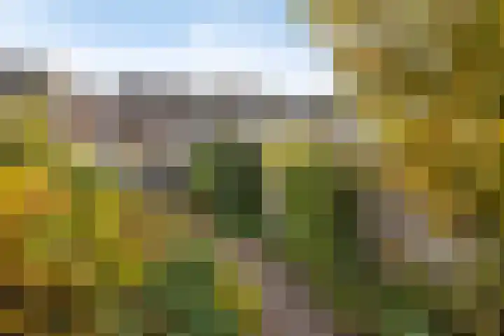 Bisschopsweg 64 Amersfoort thumbnail 41