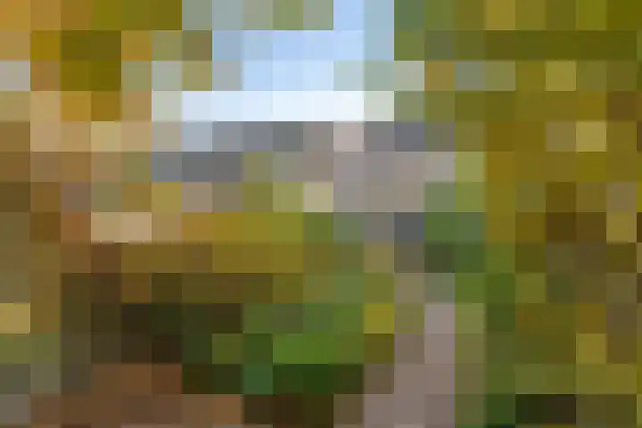 Bisschopsweg 64 Amersfoort thumbnail 42