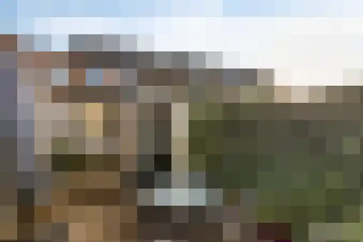 Bisschopsweg 64 Amersfoort thumbnail 44