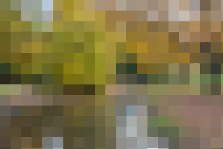 Bisschopsweg 64 Amersfoort thumbnail 46