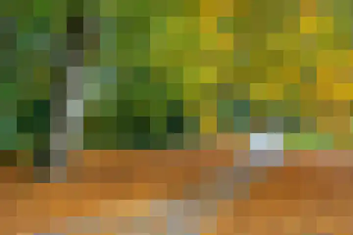 Bisschopsweg 64 Amersfoort thumbnail 47