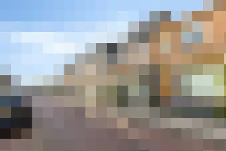 Bisschopsweg 64 Amersfoort thumbnail 6