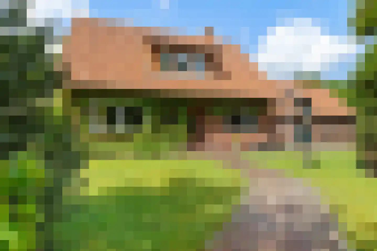 Bisschopsweg 9 Bourtange