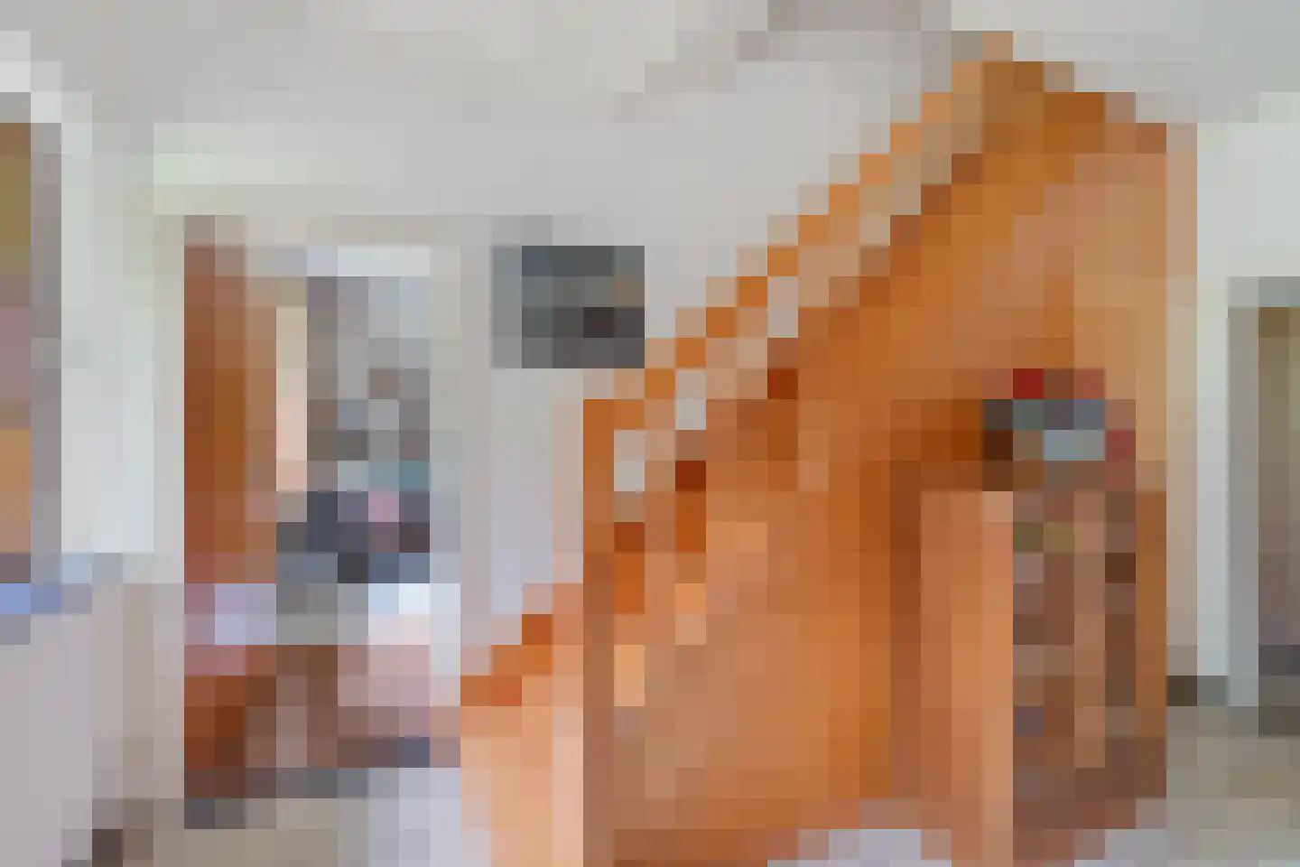 Bisschopsweg 9 Bourtange thumbnail 10