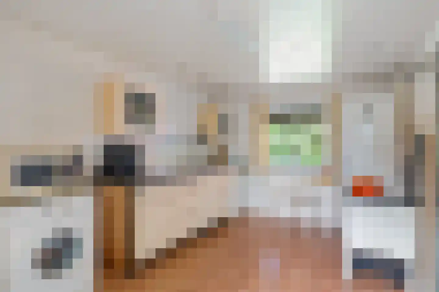 Bisschopsweg 9 Bourtange thumbnail 20