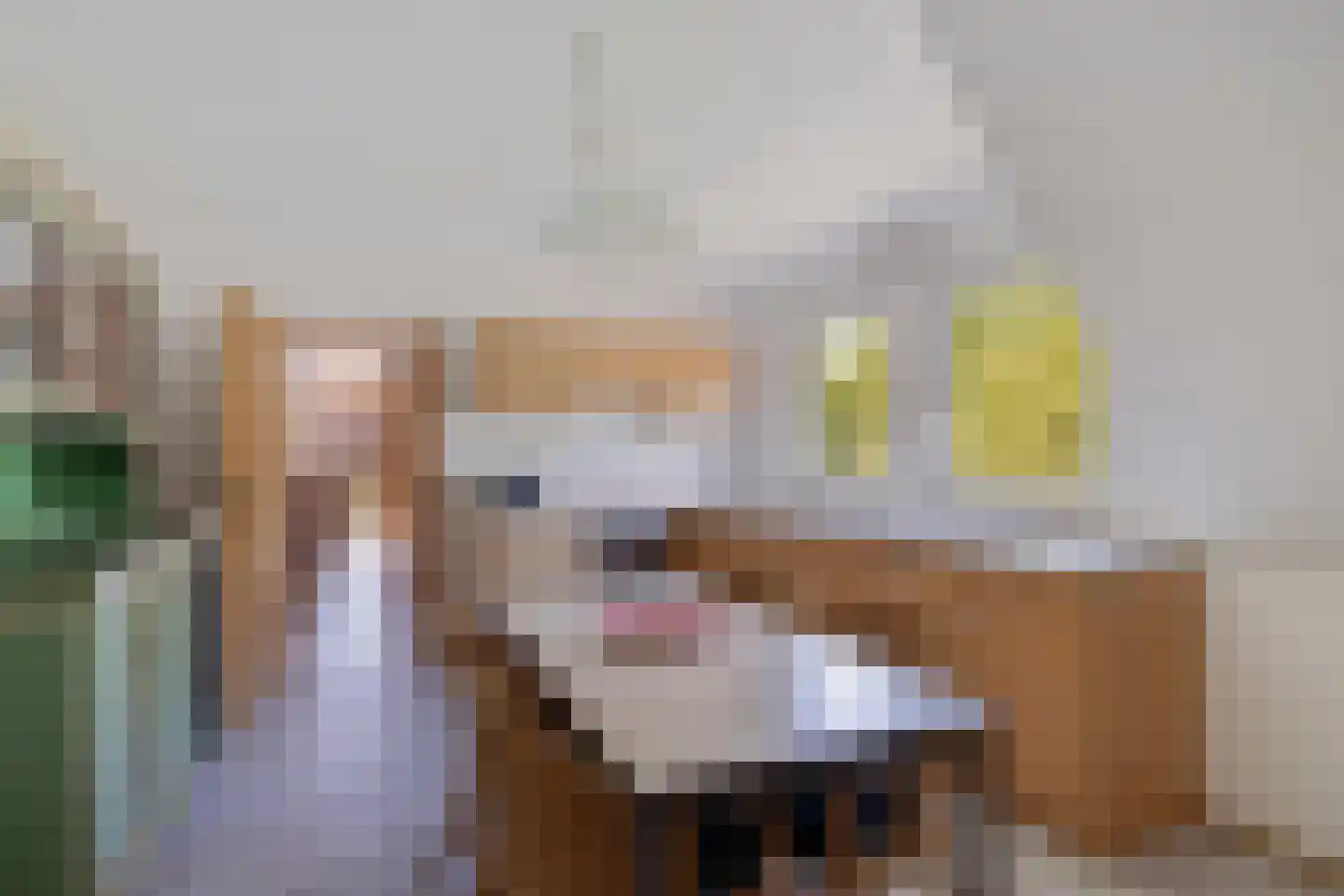 Bisschopsweg 9 Bourtange thumbnail 31