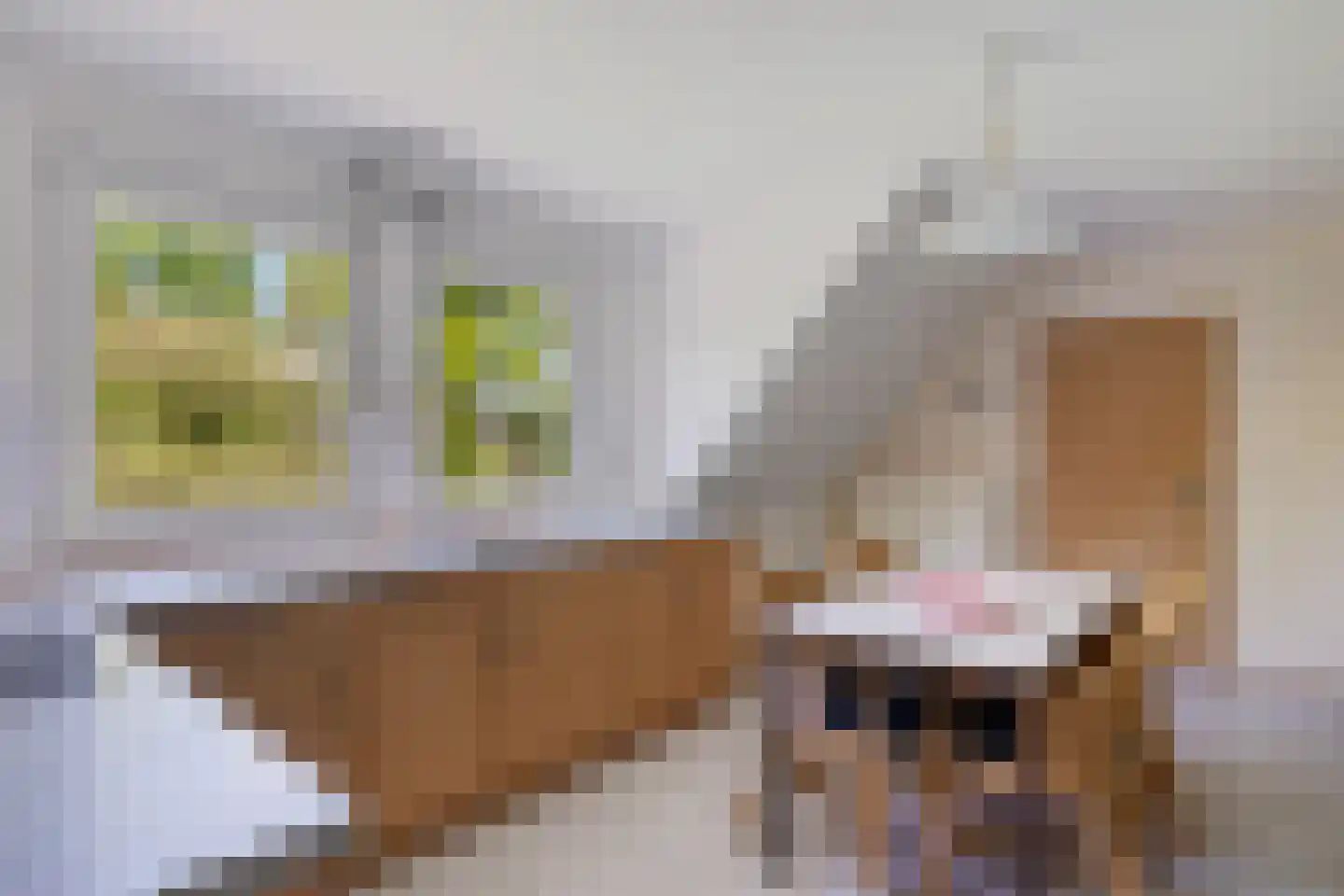 Bisschopsweg 9 Bourtange thumbnail 32