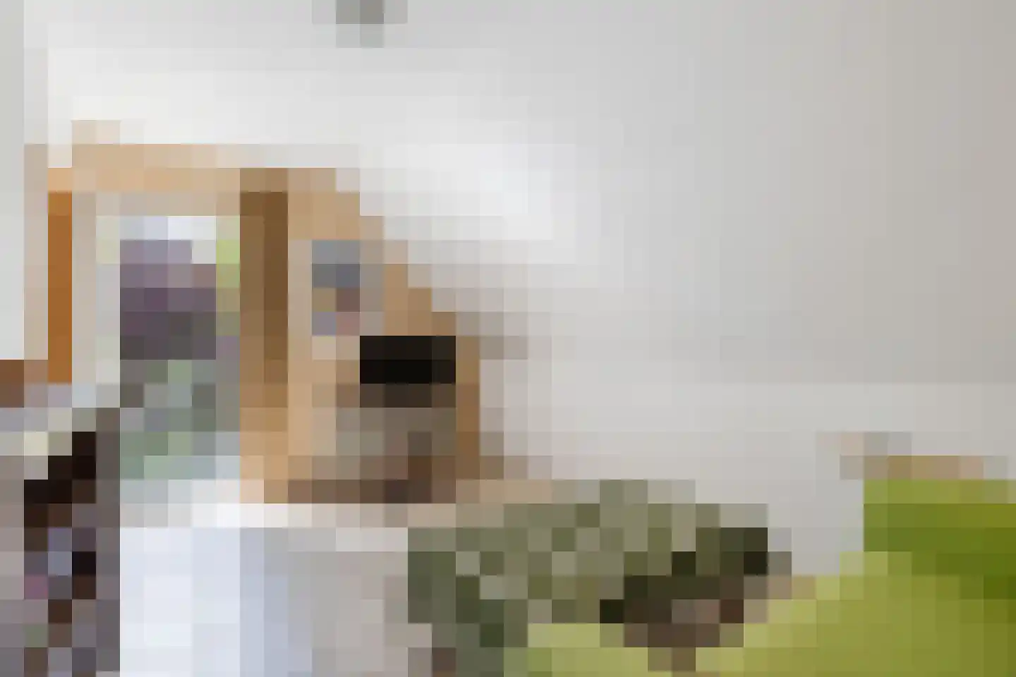 Bisschopsweg 9 Bourtange thumbnail 35