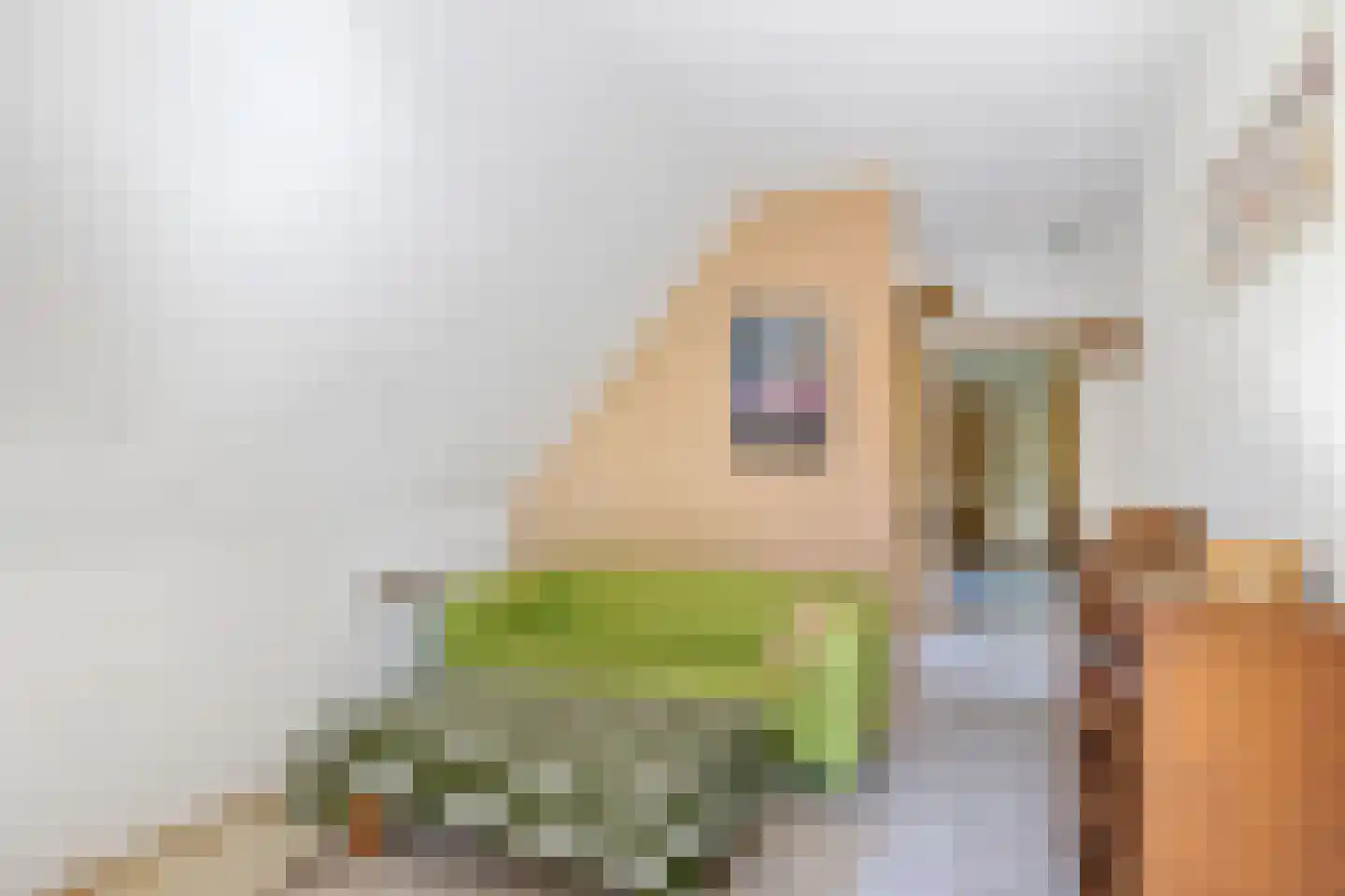 Bisschopsweg 9 Bourtange thumbnail 36