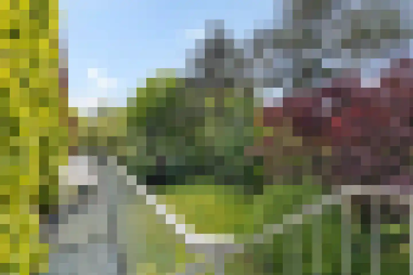 Bisschopsweg 9 Bourtange thumbnail 39