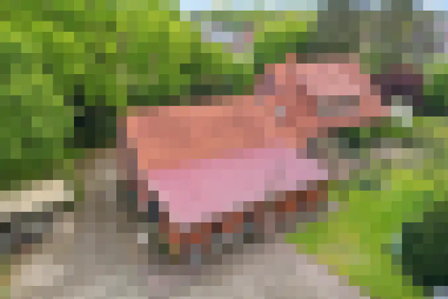 Bisschopsweg 9 Bourtange thumbnail 4