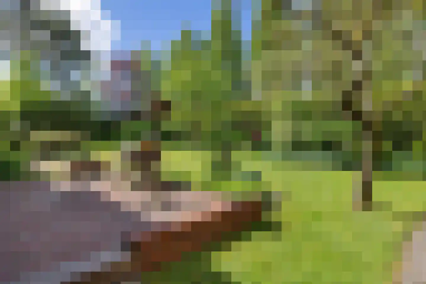 Bisschopsweg 9 Bourtange thumbnail 41