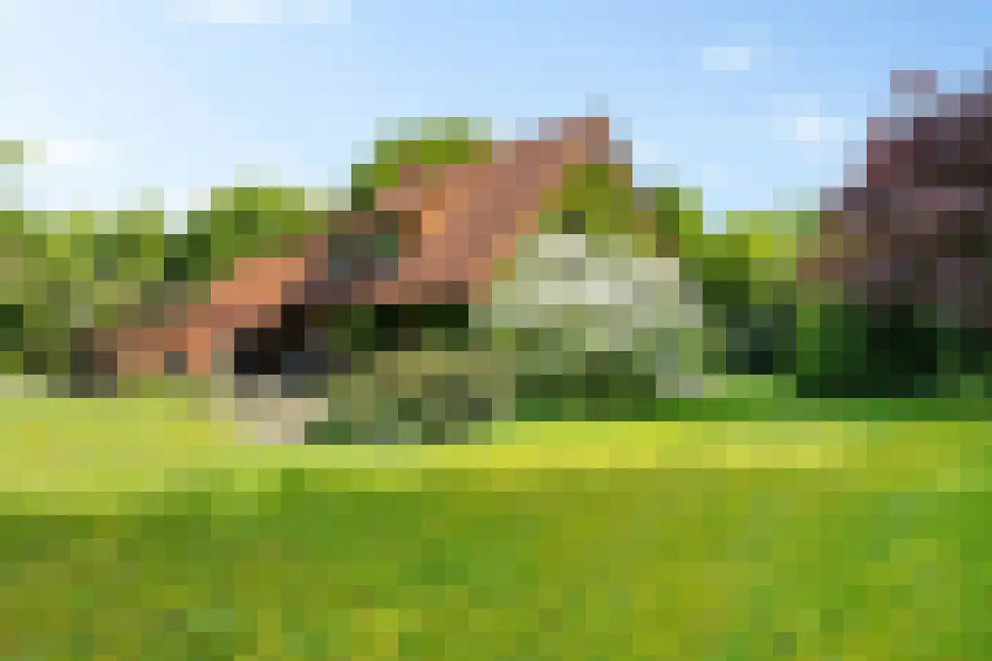Bisschopsweg 9 Bourtange thumbnail 43