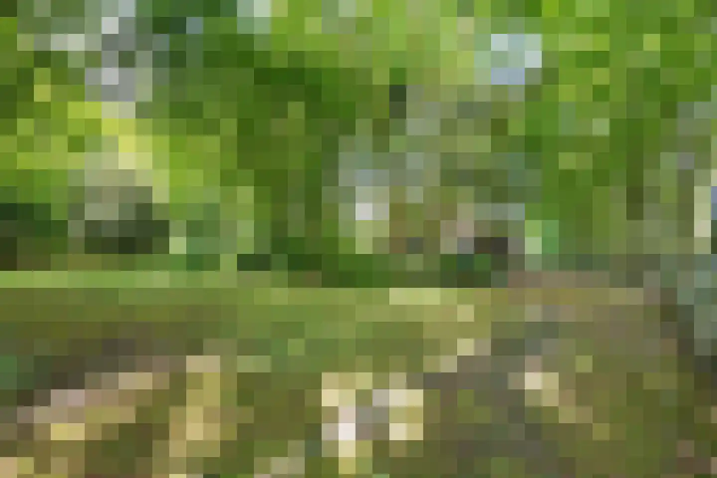 Bisschopsweg 9 Bourtange thumbnail 46
