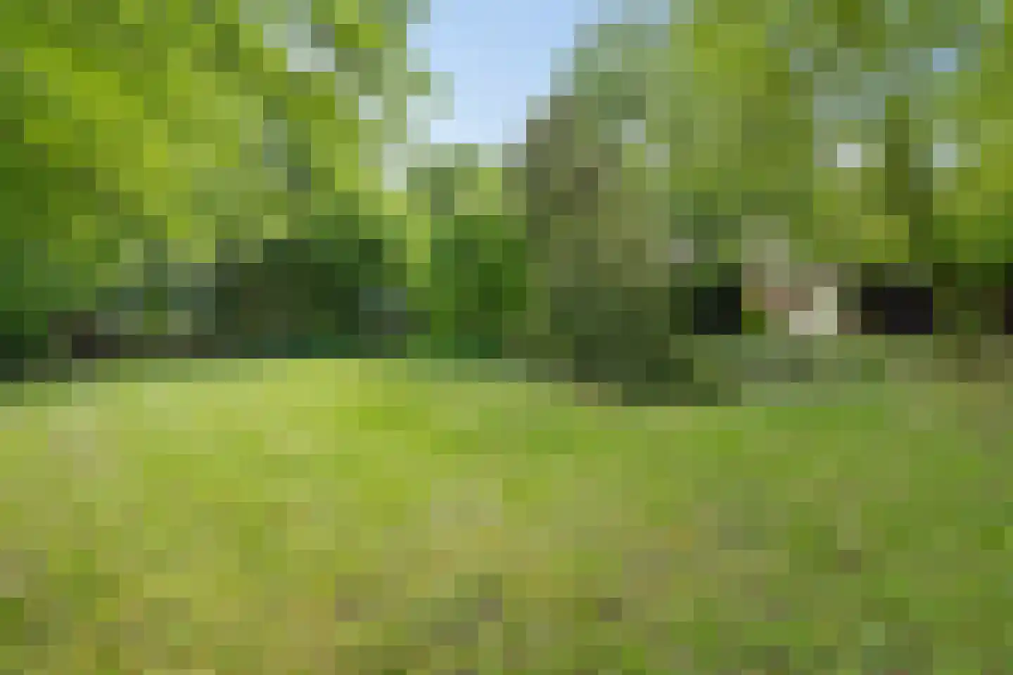 Bisschopsweg 9 Bourtange thumbnail 47
