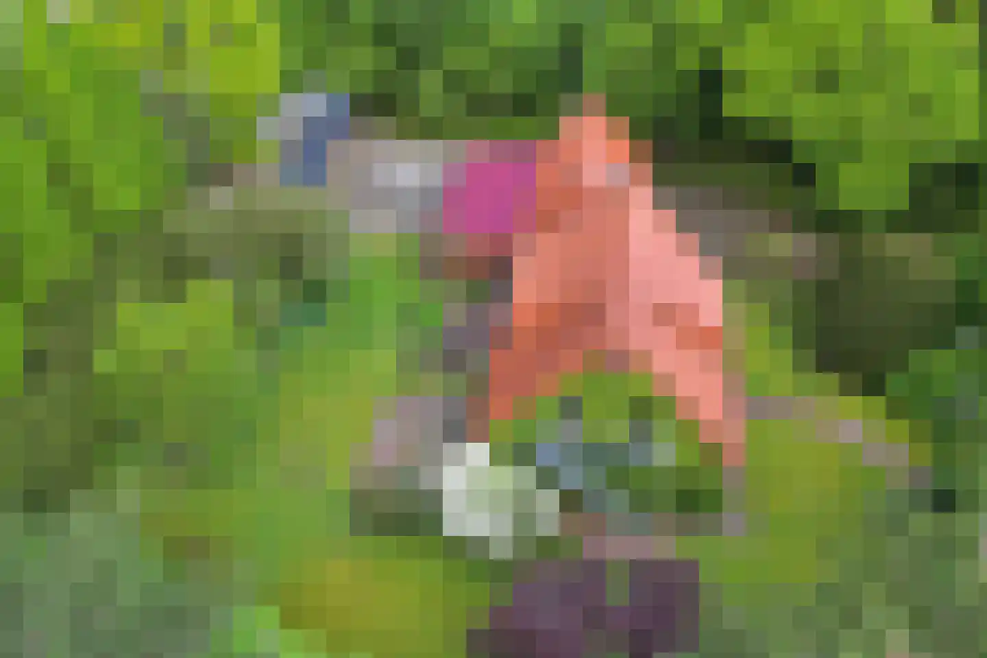 Bisschopsweg 9 Bourtange thumbnail 6