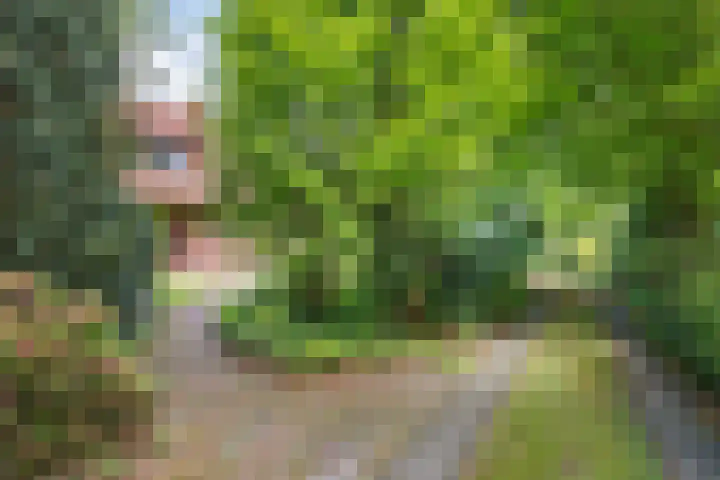 Bisschopsweg 9 Bourtange thumbnail 8