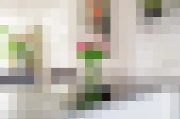 Bisschopsweg 99 Amersfoort thumbnail 13
