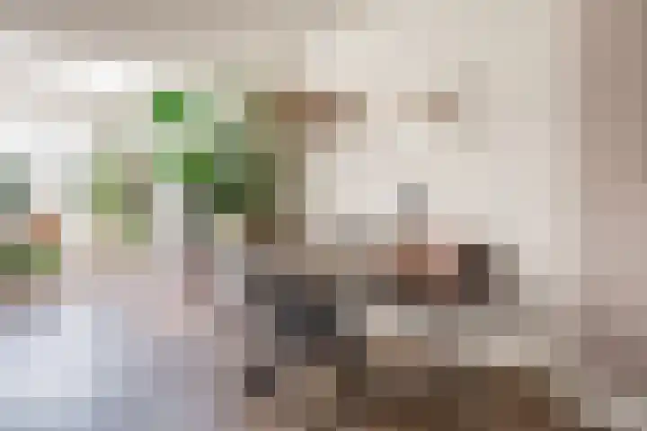Bisschopsweg 99 Amersfoort thumbnail 16