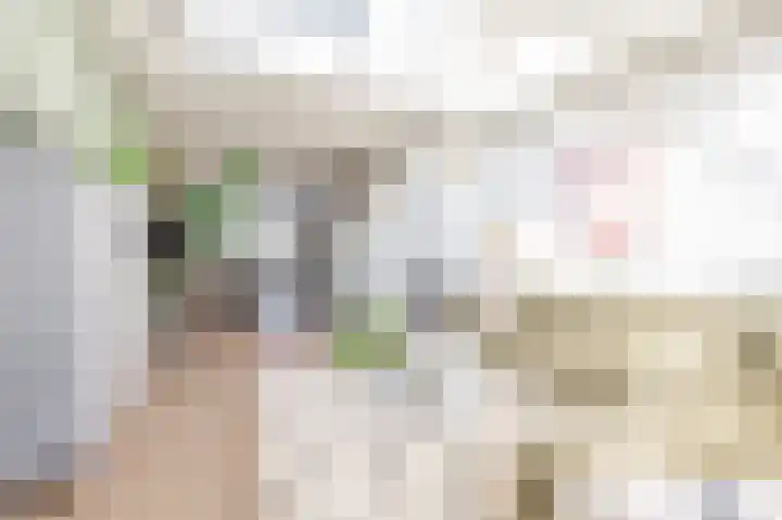 Bisschopsweg 99 Amersfoort thumbnail 18