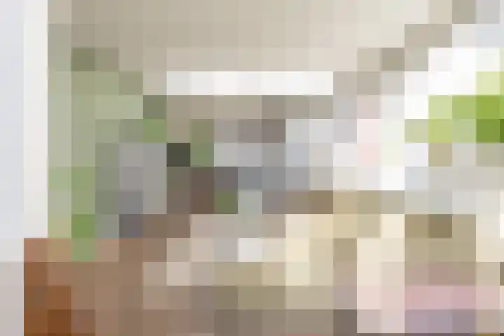 Bisschopsweg 99 Amersfoort thumbnail 19