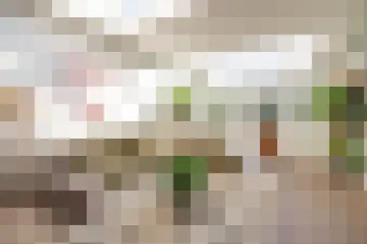 Bisschopsweg 99 Amersfoort thumbnail 20