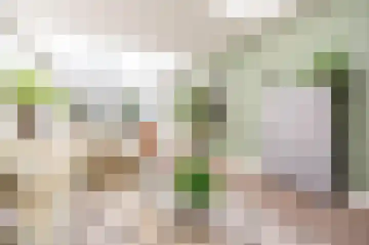 Bisschopsweg 99 Amersfoort thumbnail 22