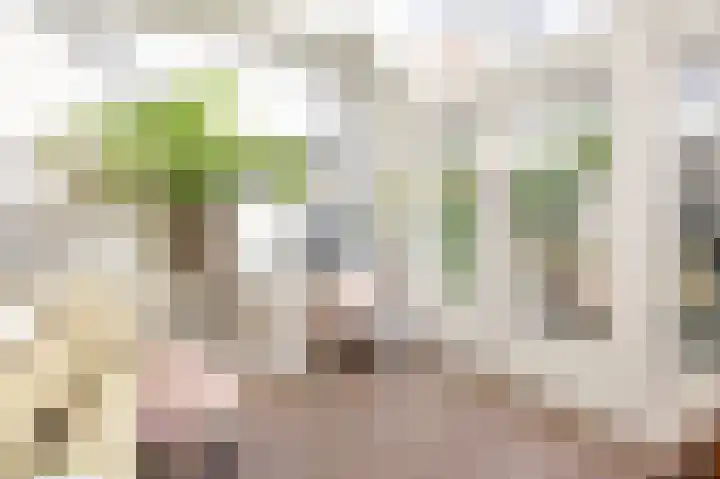Bisschopsweg 99 Amersfoort thumbnail 23
