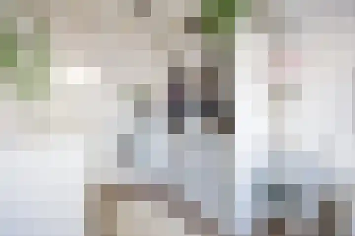 Bisschopsweg 99 Amersfoort thumbnail 32