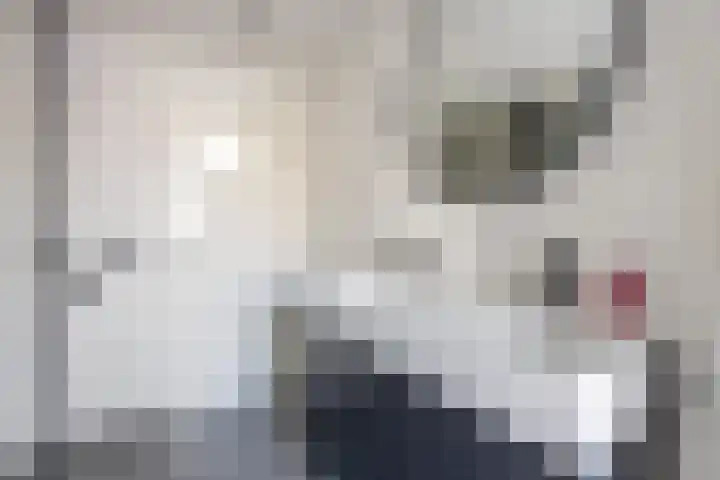 Bisschopsweg 99 Amersfoort thumbnail 35