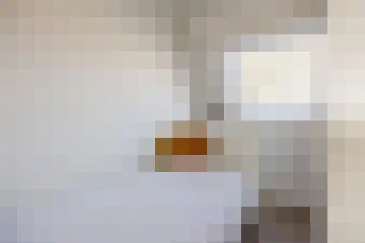 Bisschopsweg 99 Amersfoort thumbnail 42