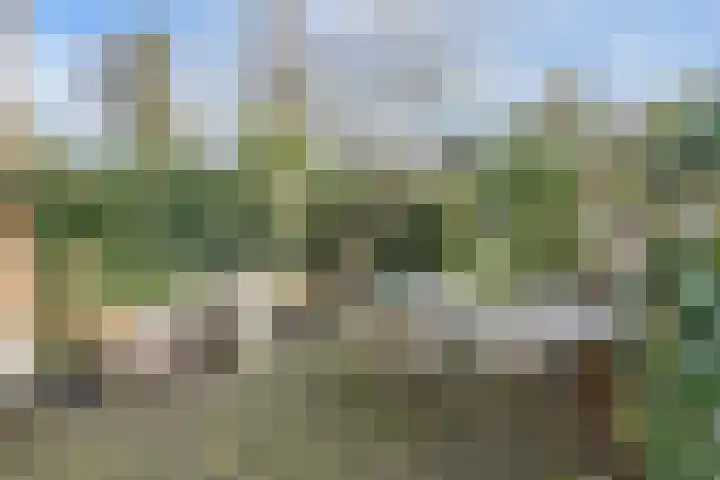 Bisschopsweg 99 Amersfoort thumbnail 47