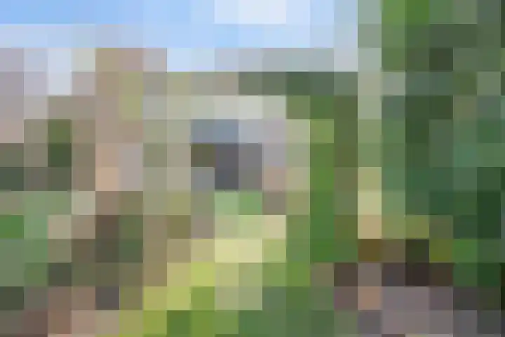 Bisschopsweg 99 Amersfoort thumbnail 50
