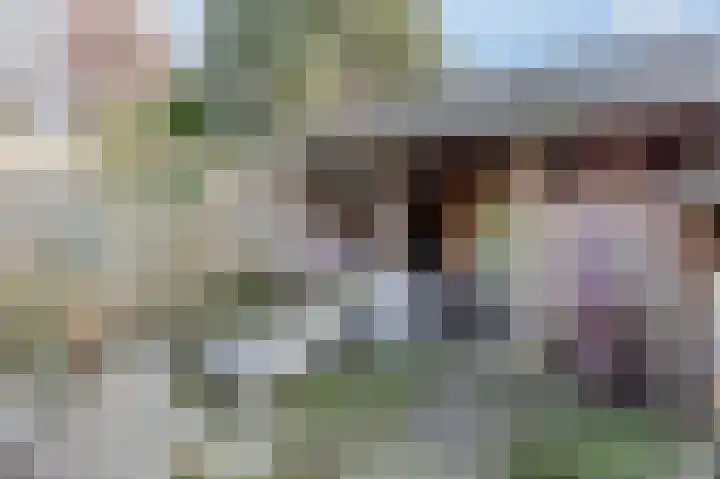 Bisschopsweg 99 Amersfoort thumbnail 51