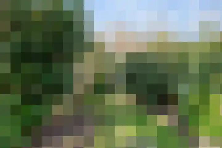 Bisschopsweg 99 Amersfoort thumbnail 56
