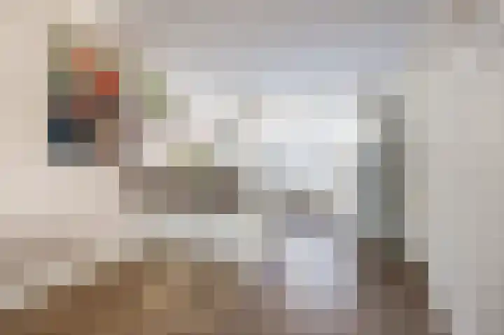 Bisschopsweg 99 Amersfoort thumbnail 7